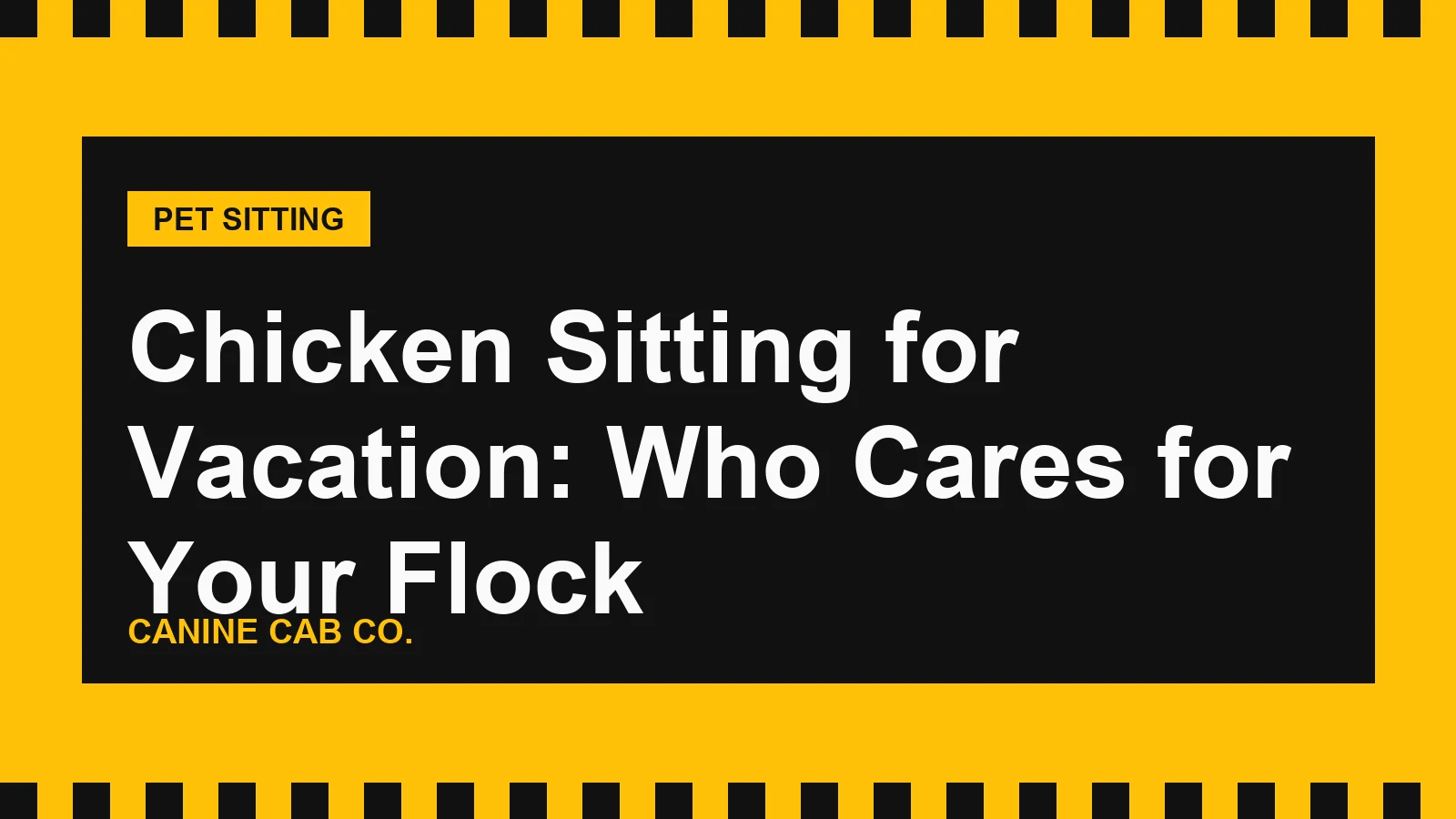 Chicken Sitting for Vacation: Who Cares for Your Flock