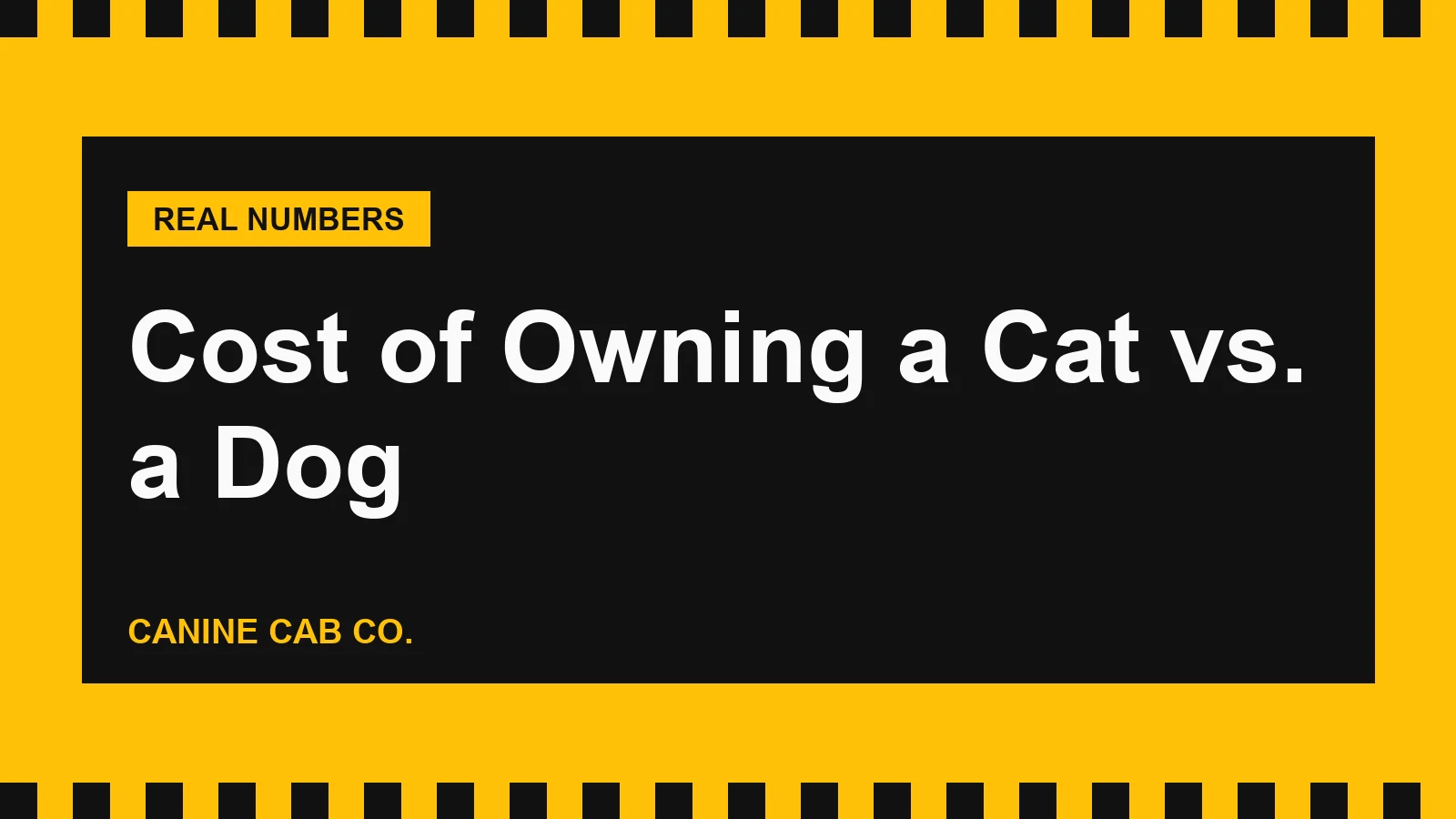 Cost of Owning a Cat vs. a Dog: A Real Side-by-Side