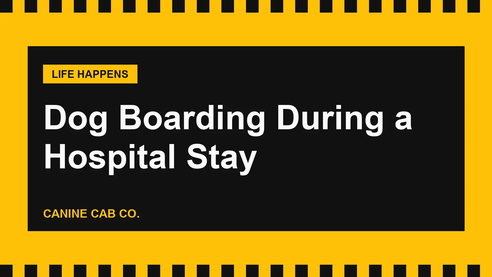 Dog Boarding During a Hospital Stay