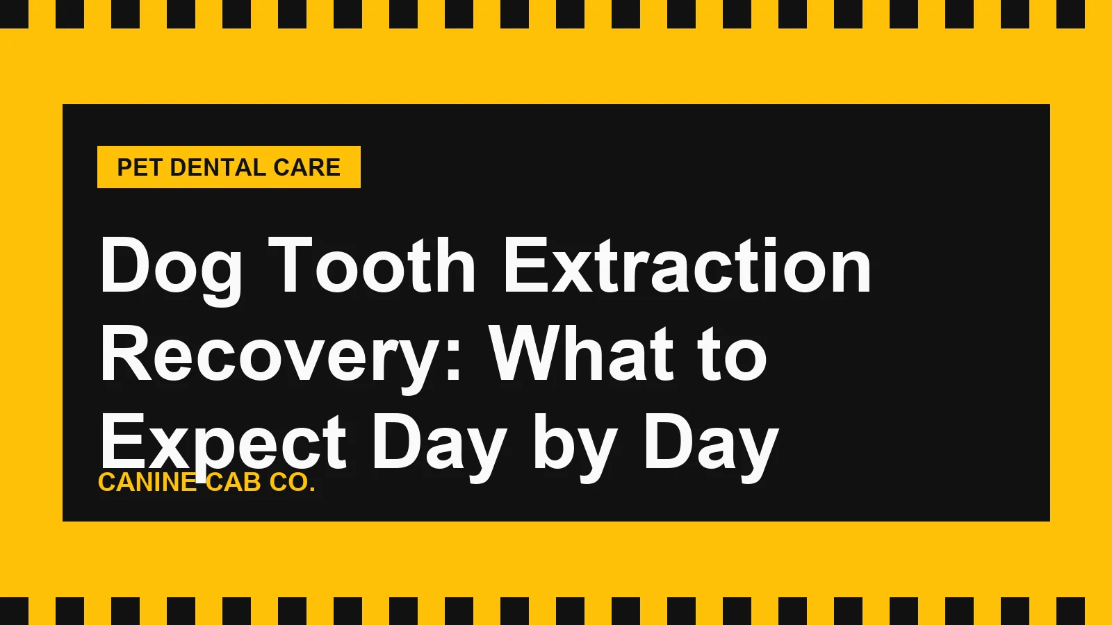 Dog Tooth Extraction Recovery: What to Expect Day by Day