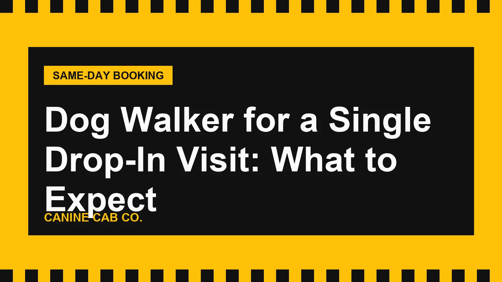 Dog Walker for a Single Drop-In Visit: What to Expect