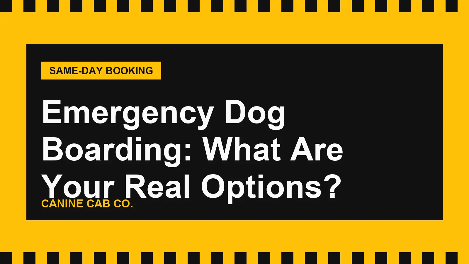 Emergency Dog Boarding: What Are Your Real Options?