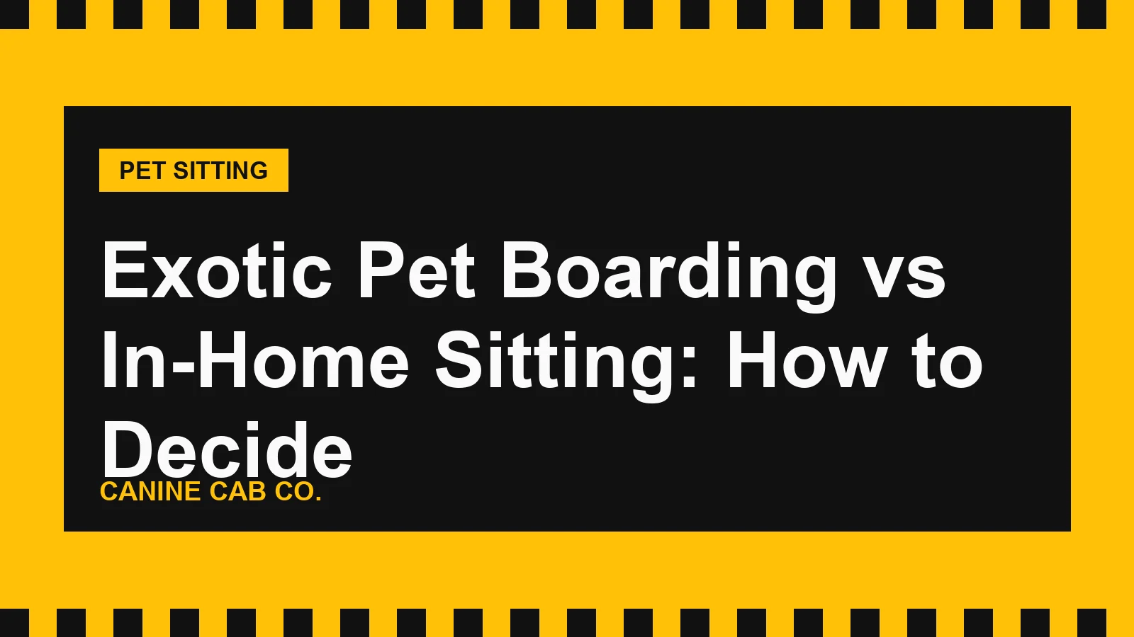 Exotic Pet Boarding vs In-Home Sitting: How to Decide
