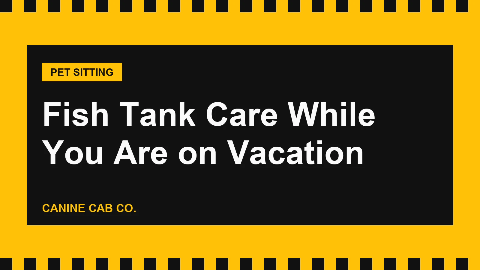 Fish Tank Care While You Are on Vacation