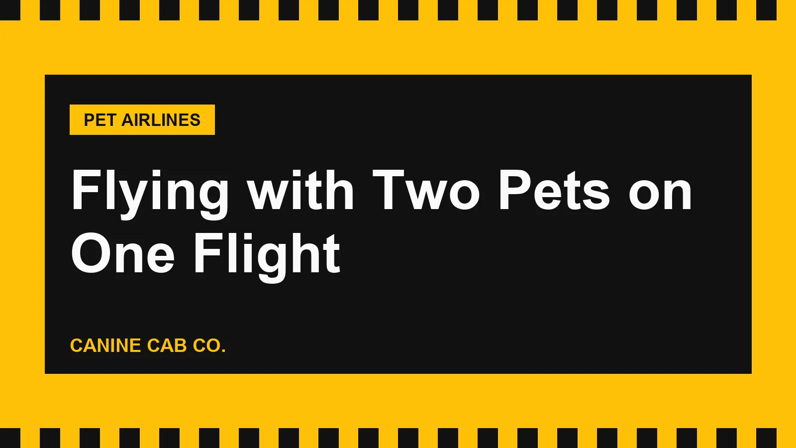 Flying with Two Pets on One Flight