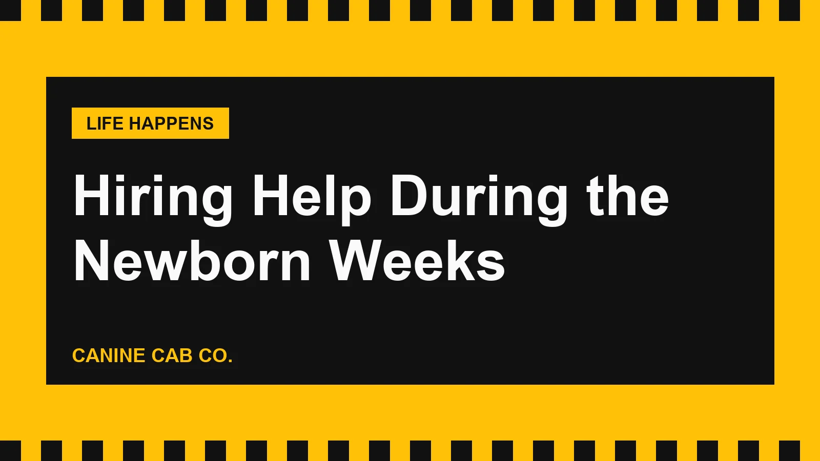 Hiring Help for Your Dog During the Newborn Weeks