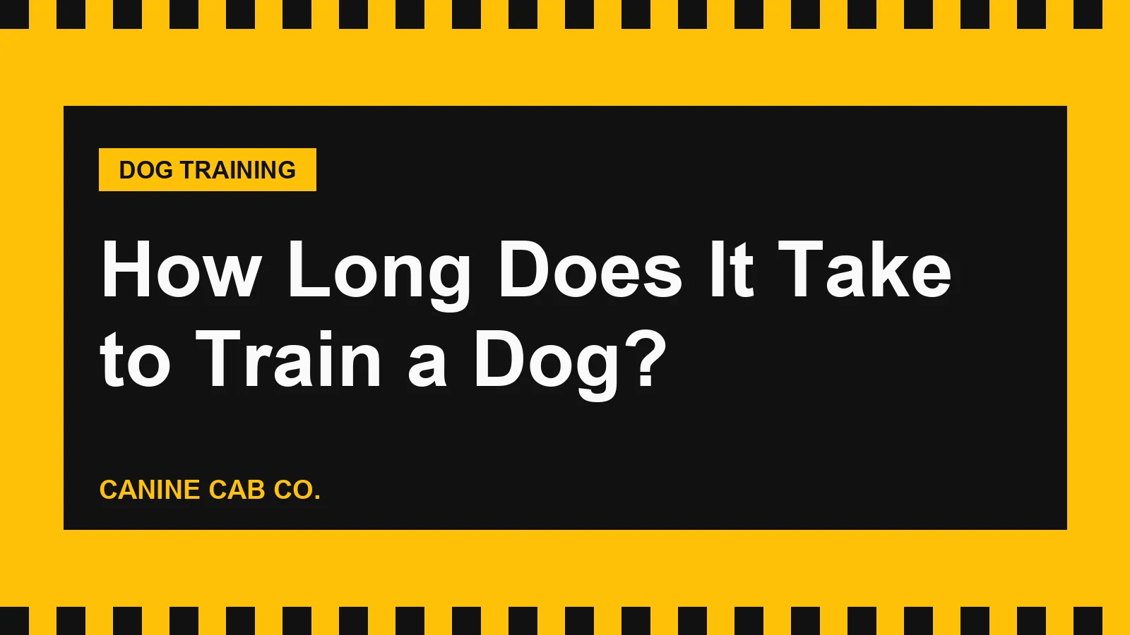 How Long Does It Take to Train a Dog?