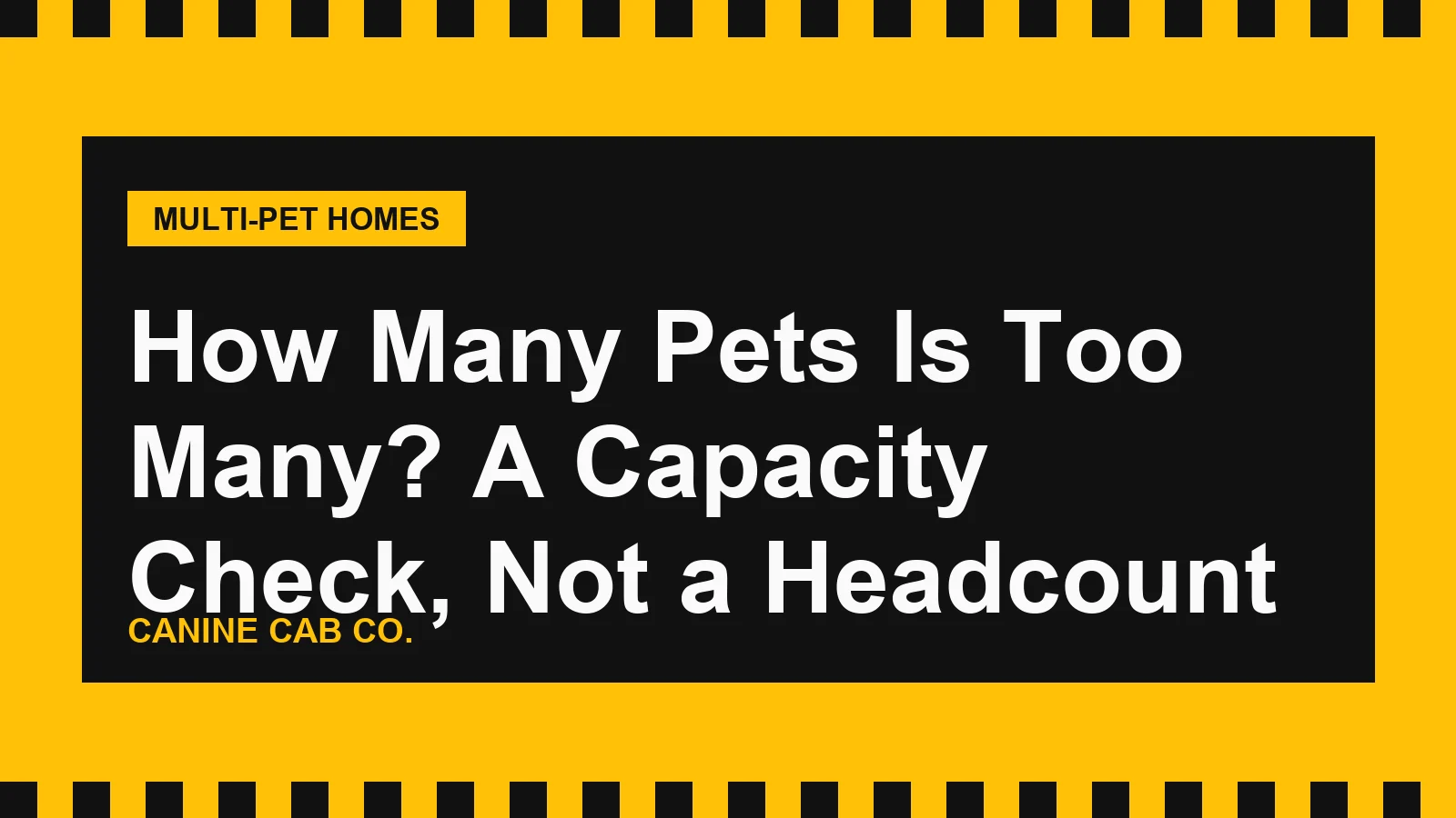 How Many Pets Is Too Many? A Capacity Check, Not a Headcount