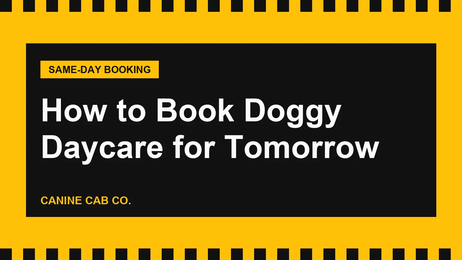 How to Book Doggy Daycare for Tomorrow