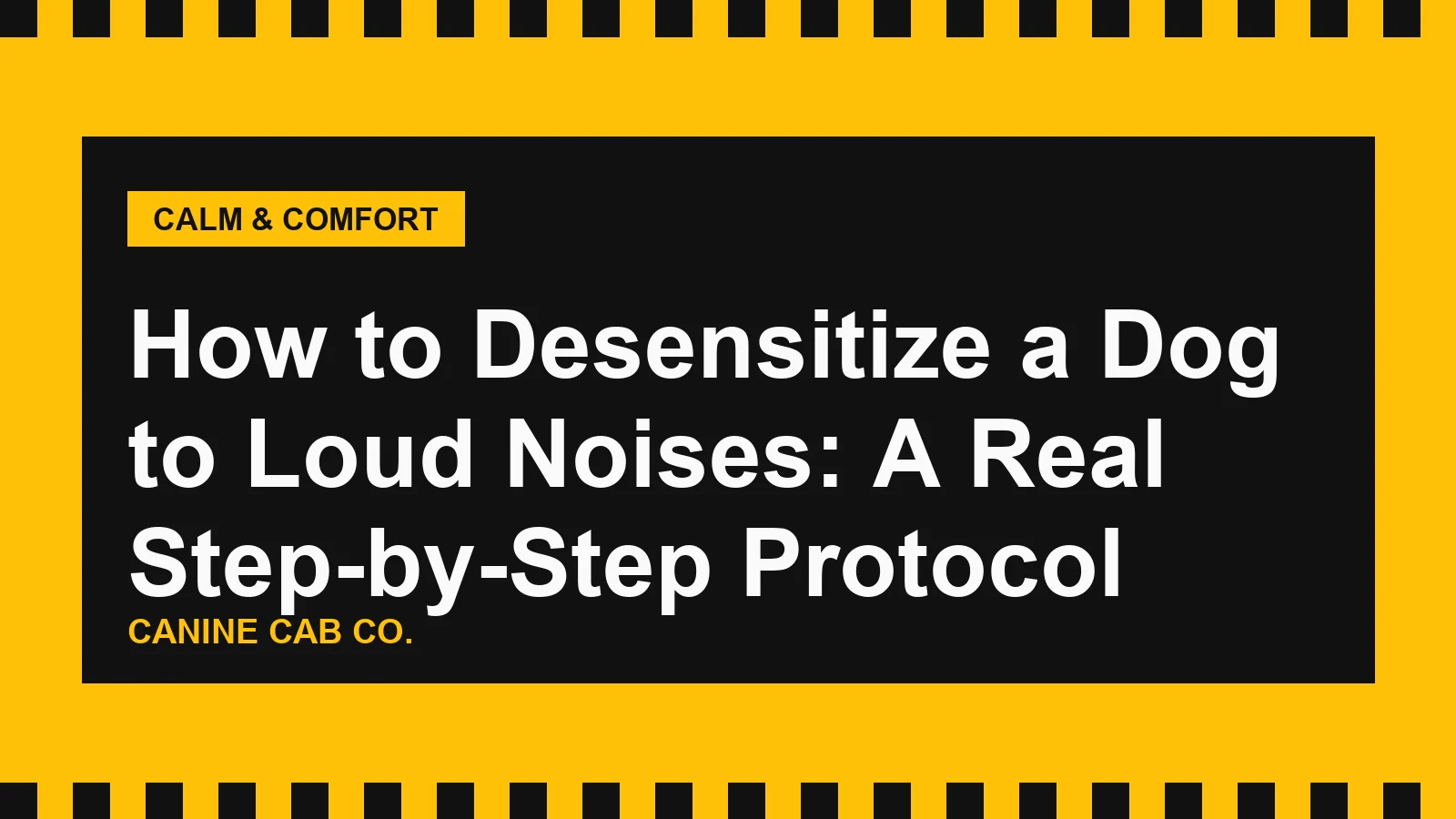 How to Desensitize a Dog to Loud Noises: A Real Step-by-Step Protocol