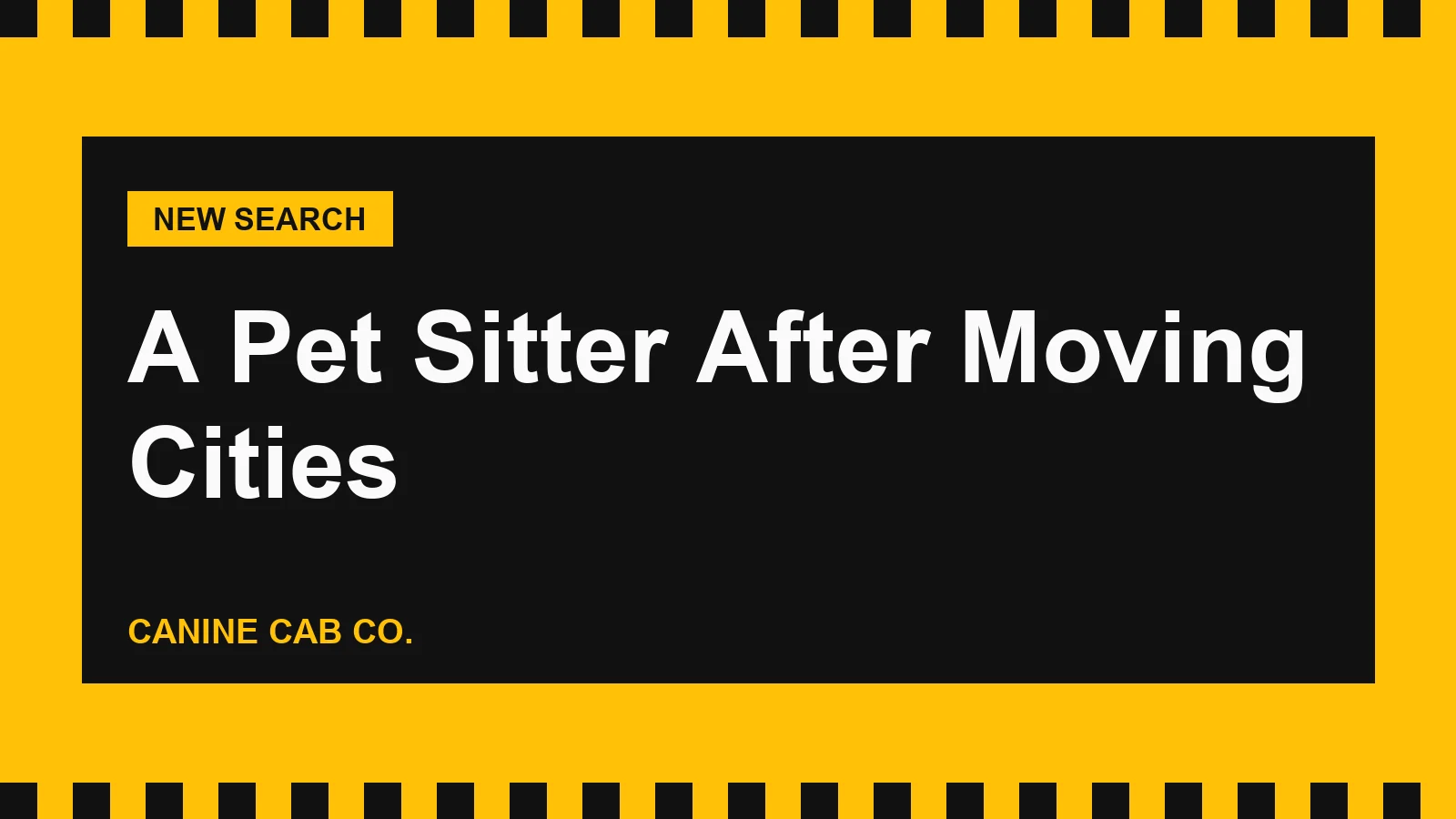 How to Find a Pet Sitter After Moving to a New City