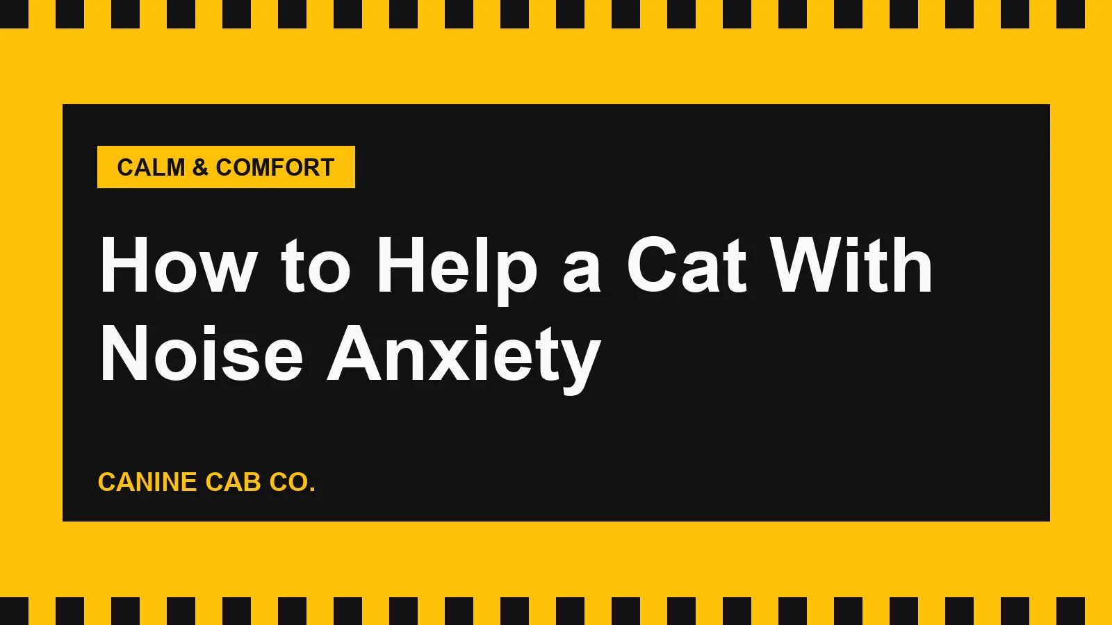 How to Help a Cat With Noise Anxiety