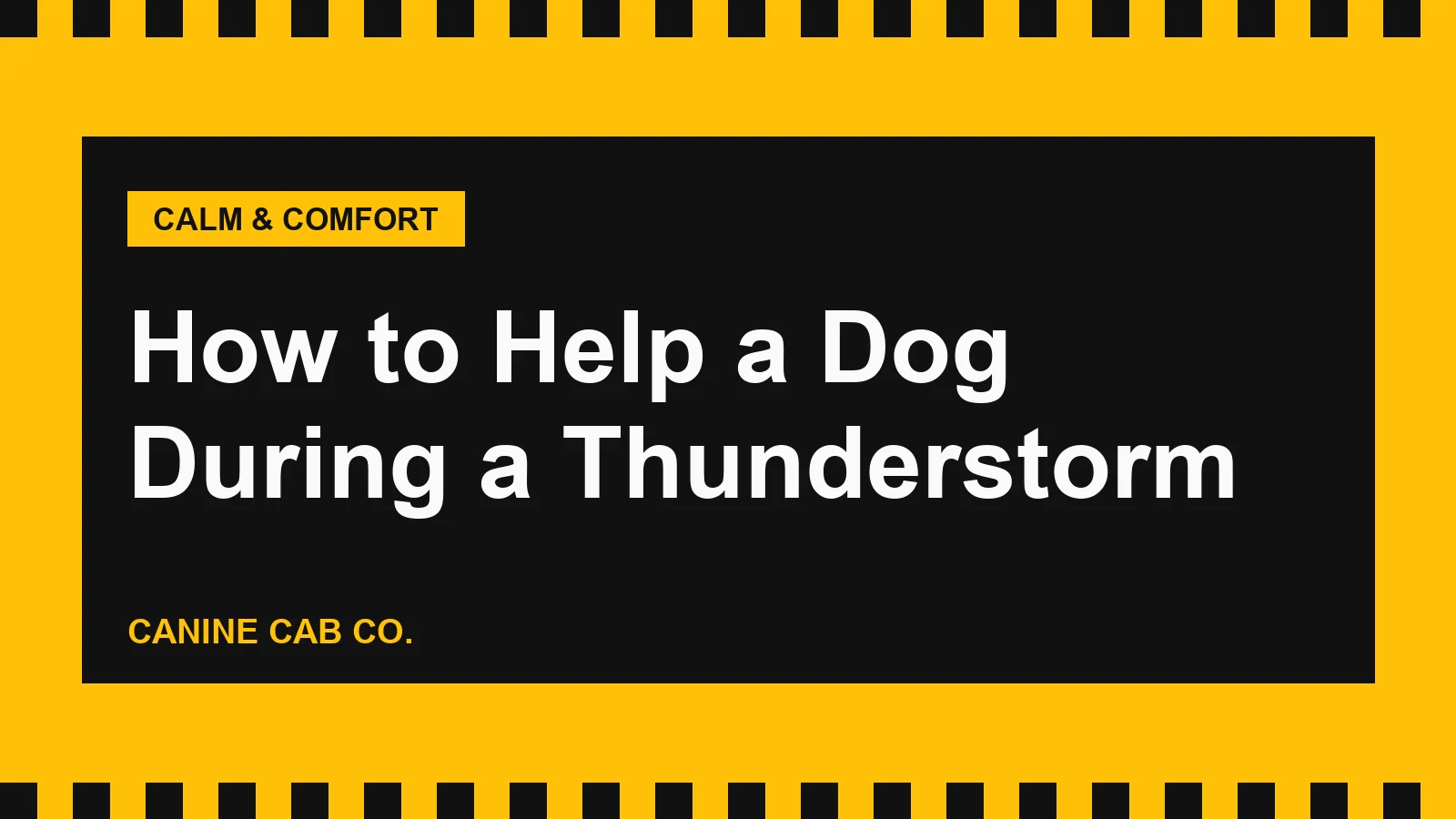 How to Help a Dog During a Thunderstorm
