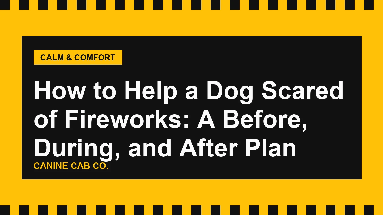 How to Help a Dog Scared of Fireworks: A Before, During, and After Plan