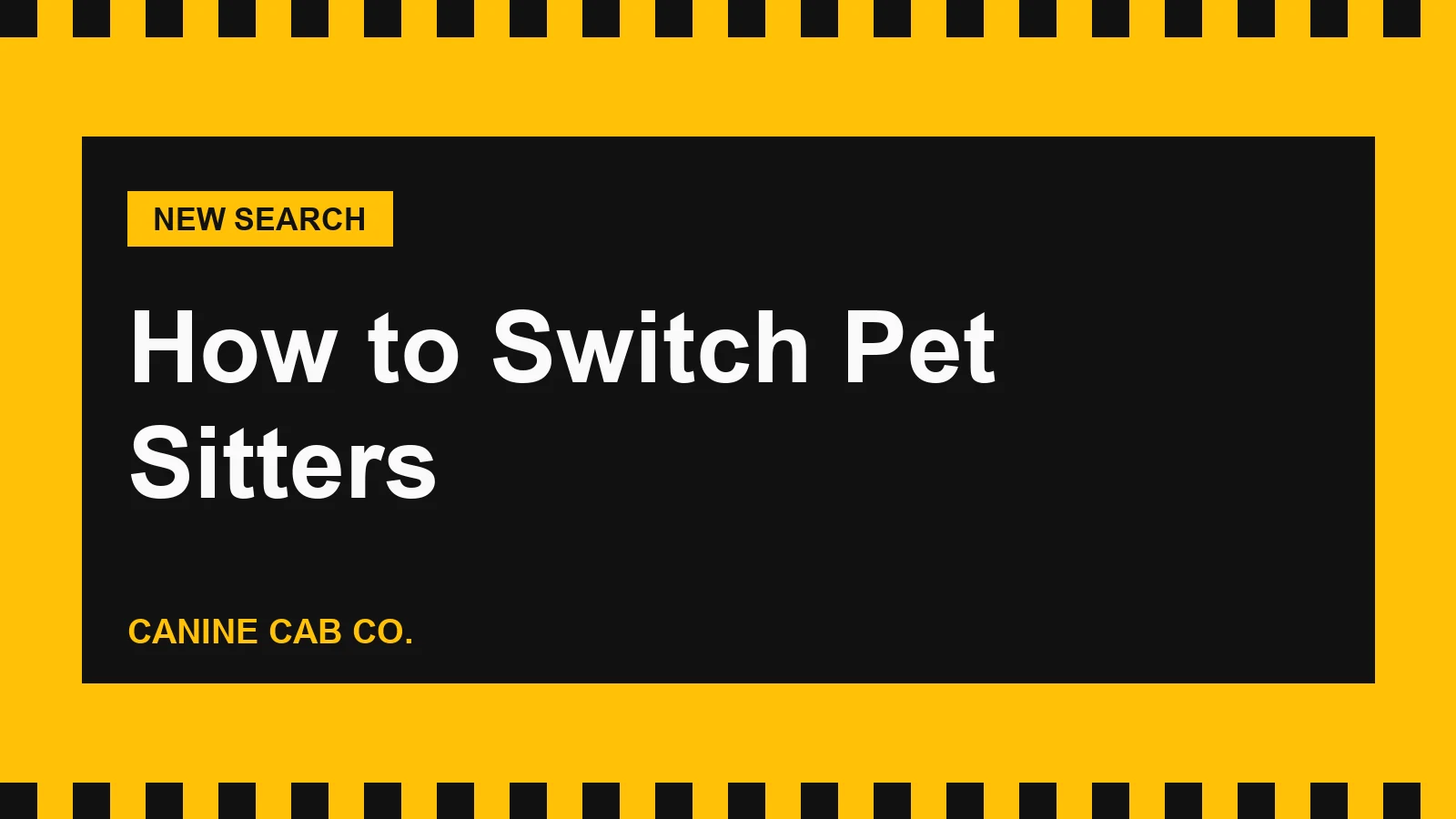 How to Switch Pet Sitters