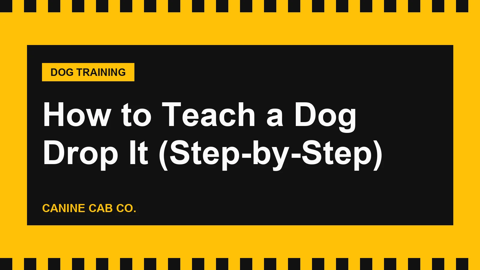 How to Teach a Dog Drop It (Step-by-Step)