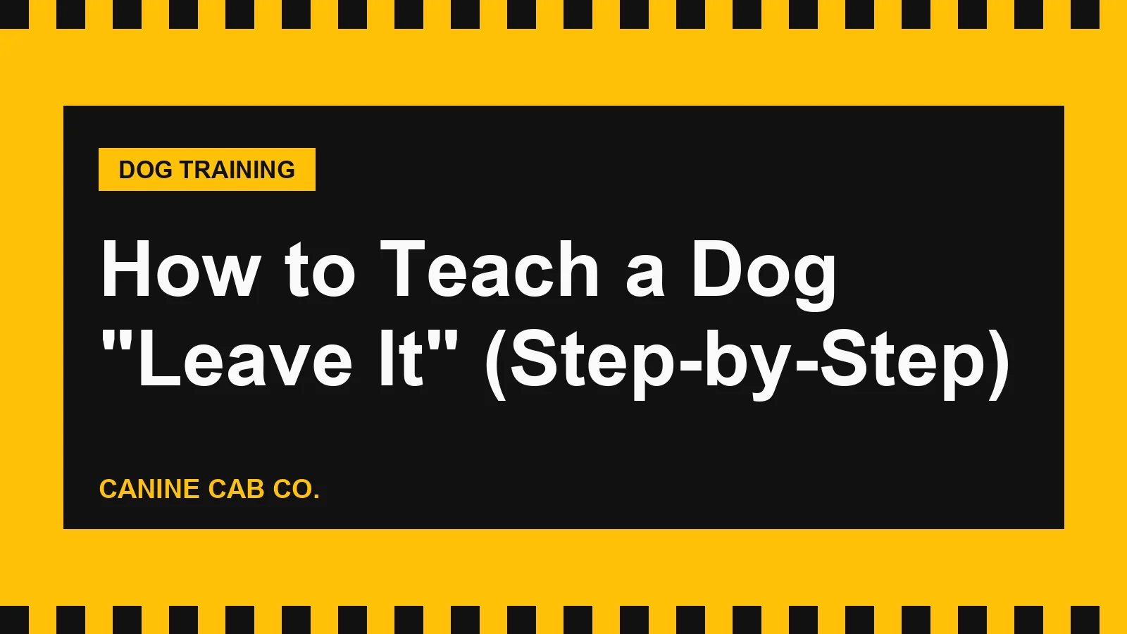 How to Teach a Dog "Leave It" (Step-by-Step)