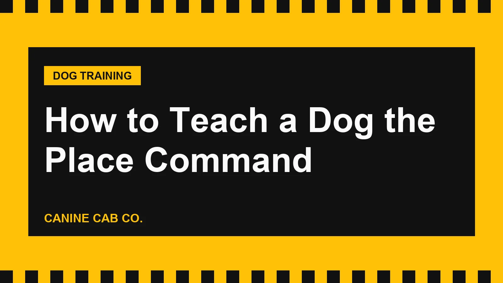 How to Teach a Dog the Place Command