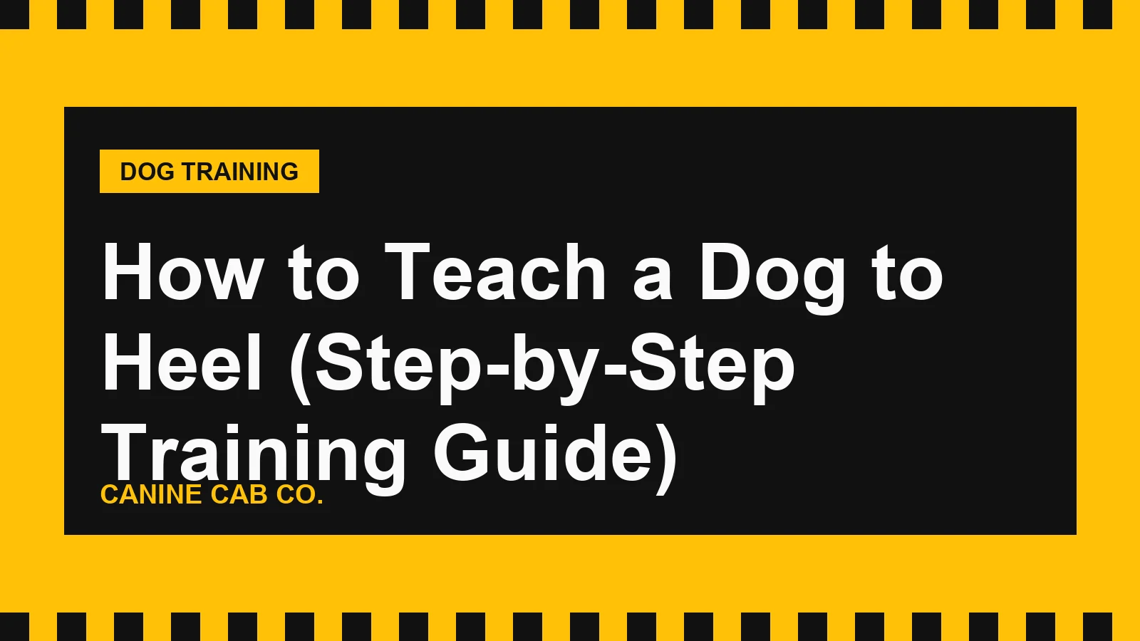 How to Teach a Dog to Heel (Step-by-Step Training Guide)