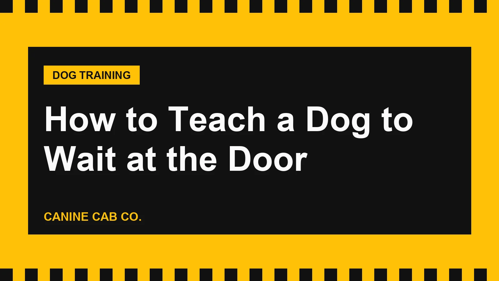 How to Teach a Dog to Wait at the Door