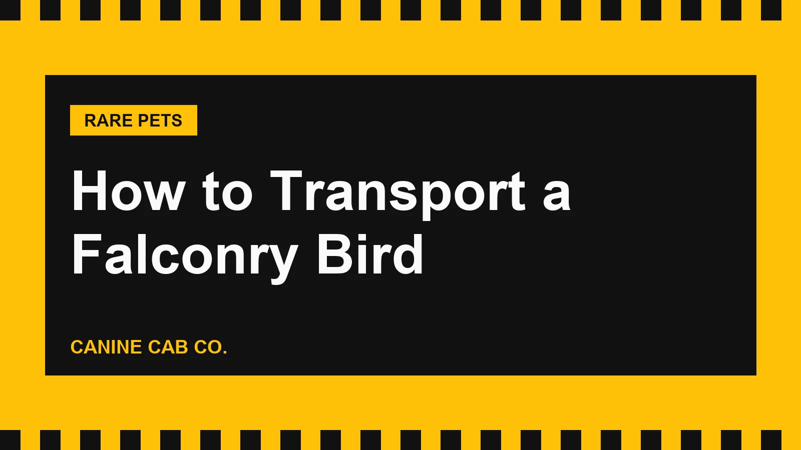 How to Transport a Falconry Bird