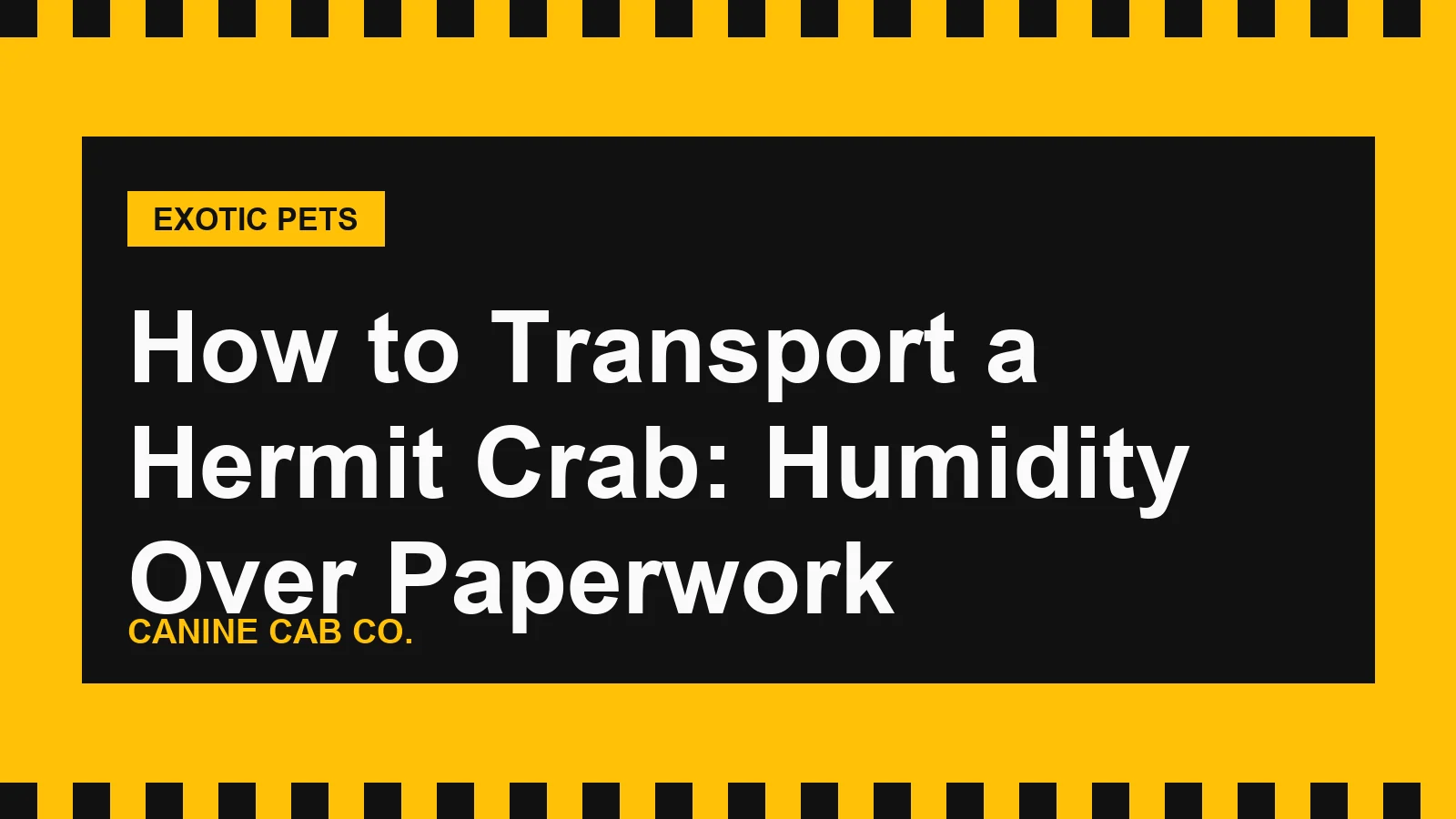 How to Transport a Hermit Crab: Humidity Over Paperwork