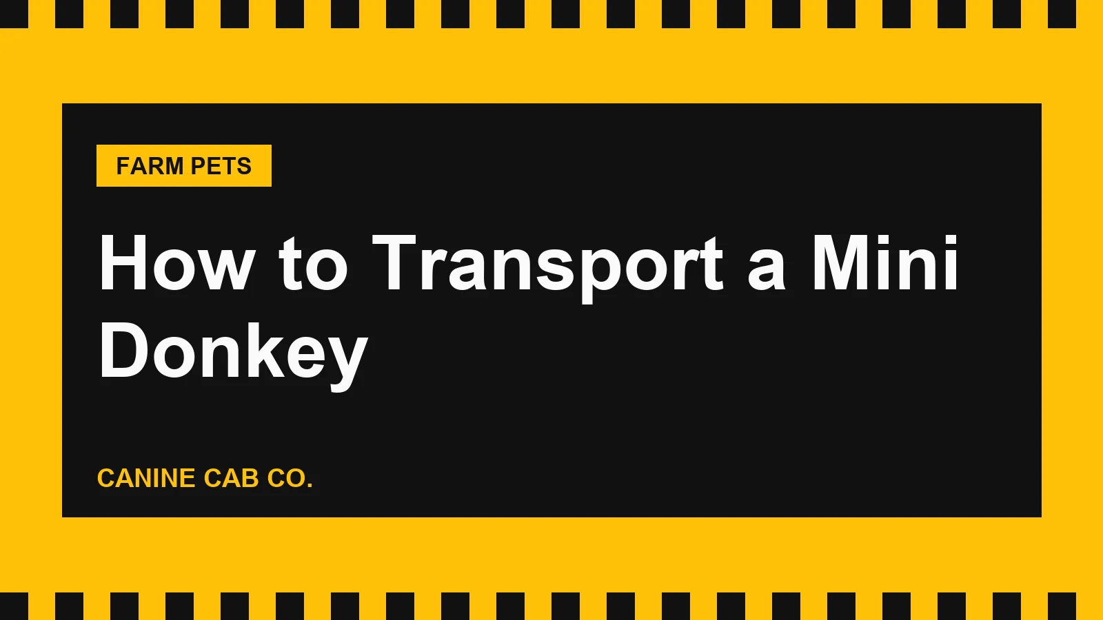 How to Transport a Mini Donkey