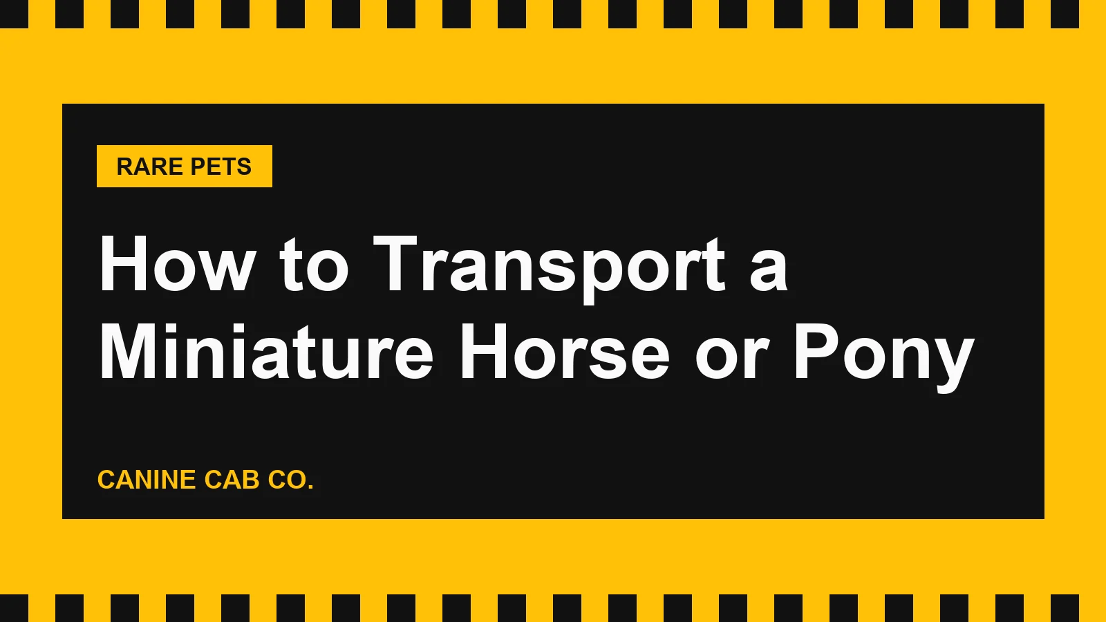 How to Transport a Miniature Horse or Pony