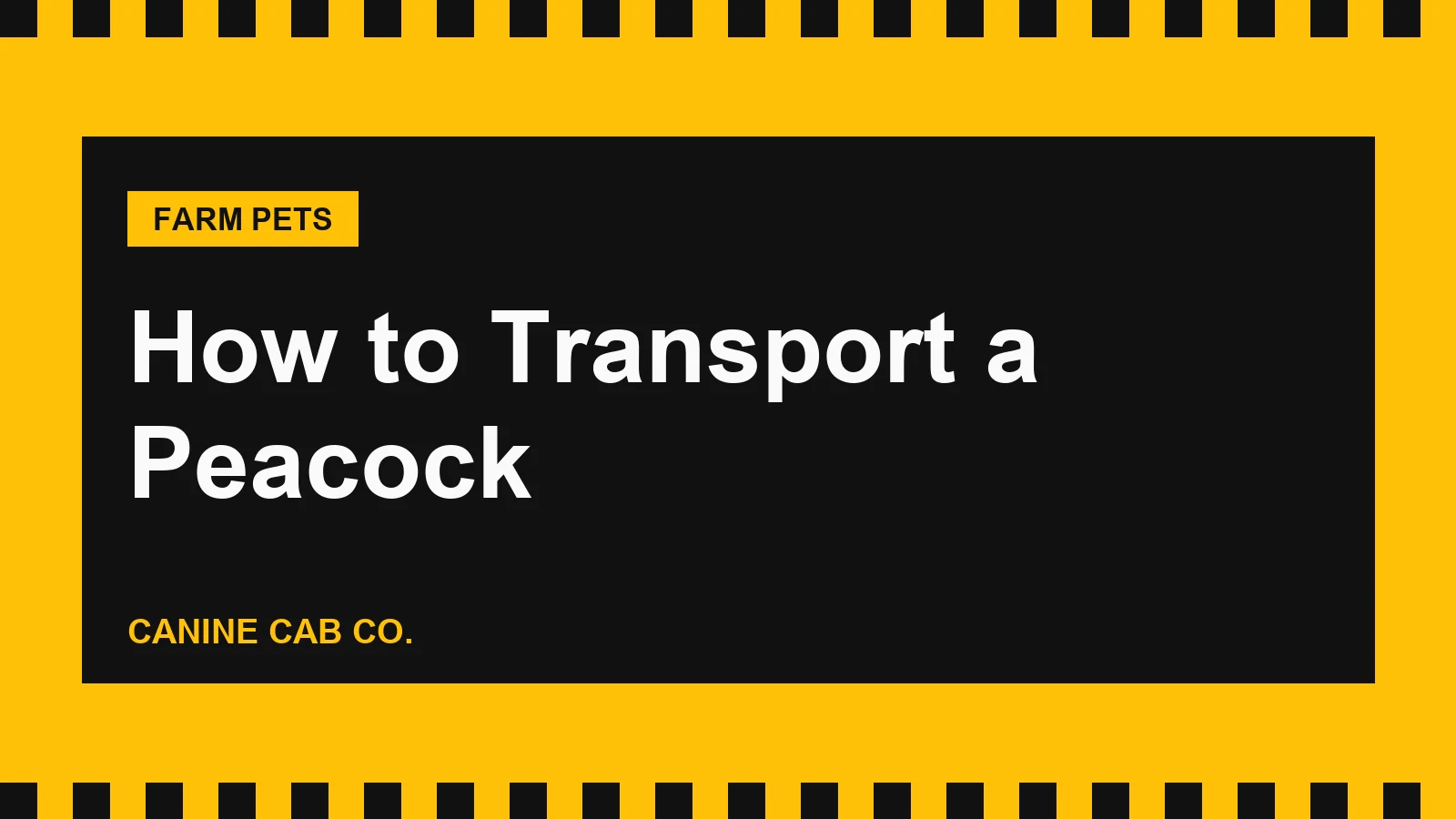 How to Transport a Peacock