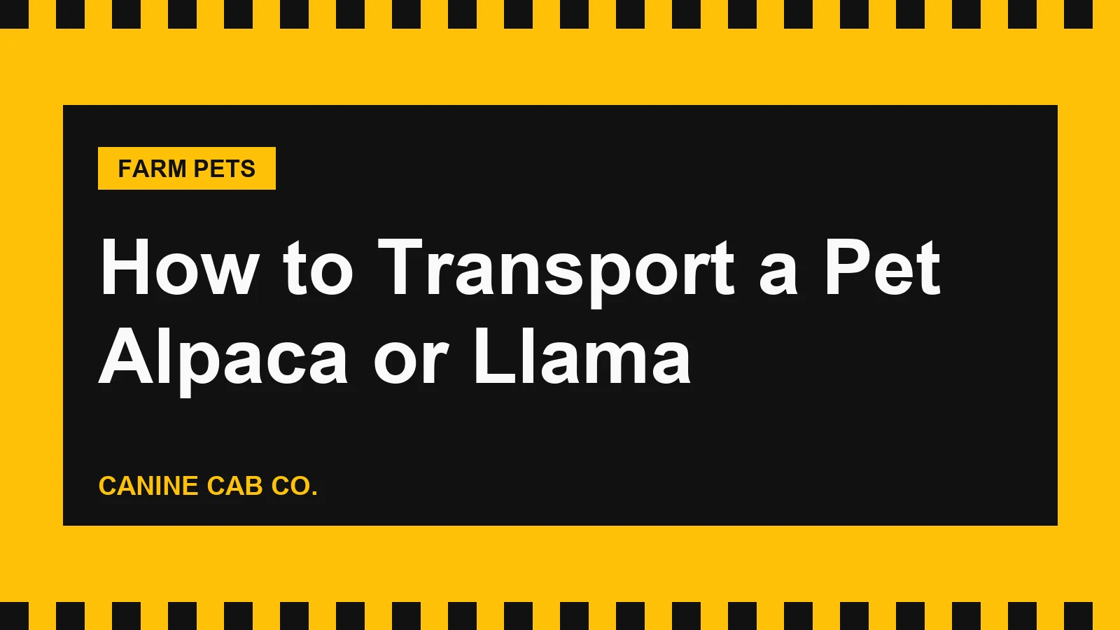 How to Transport a Pet Alpaca or Llama