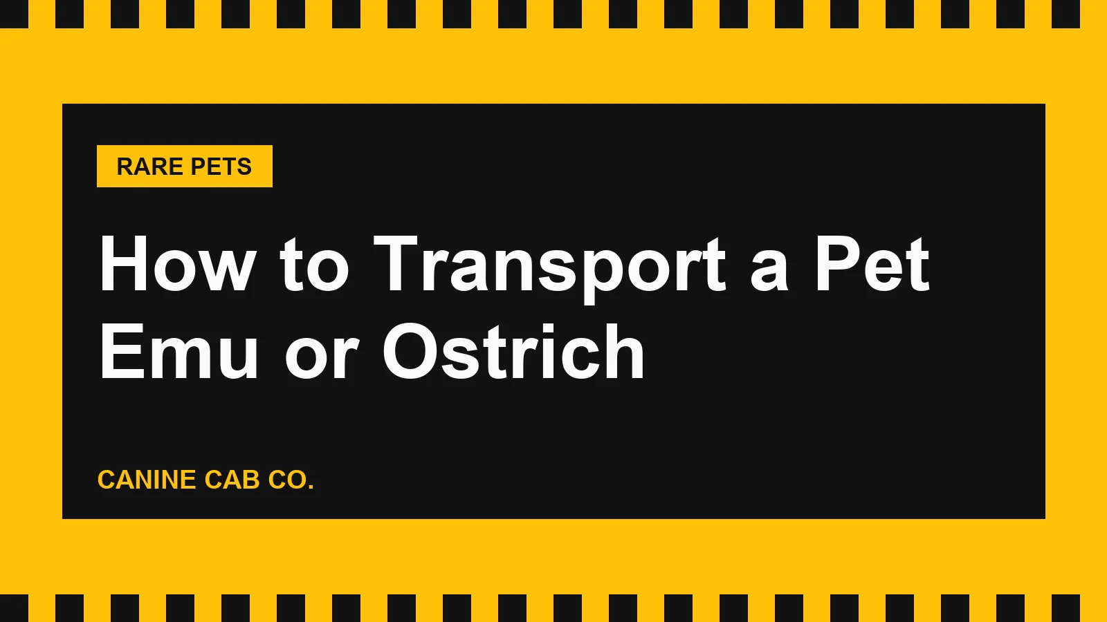 How to Transport a Pet Emu or Ostrich