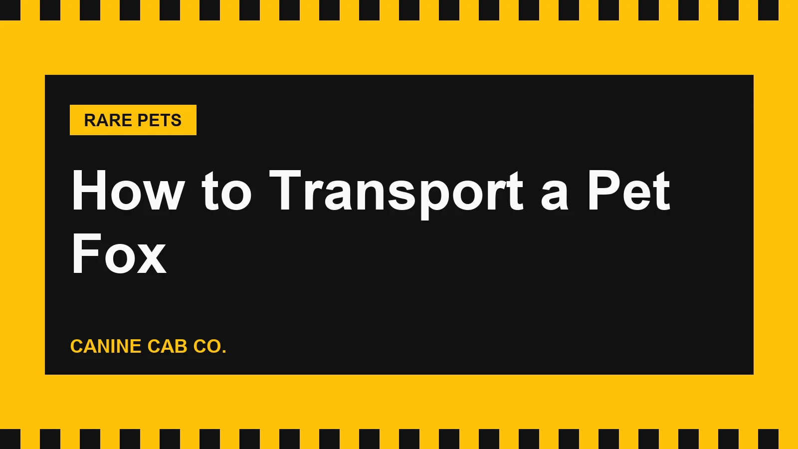 How to Transport a Pet Fox