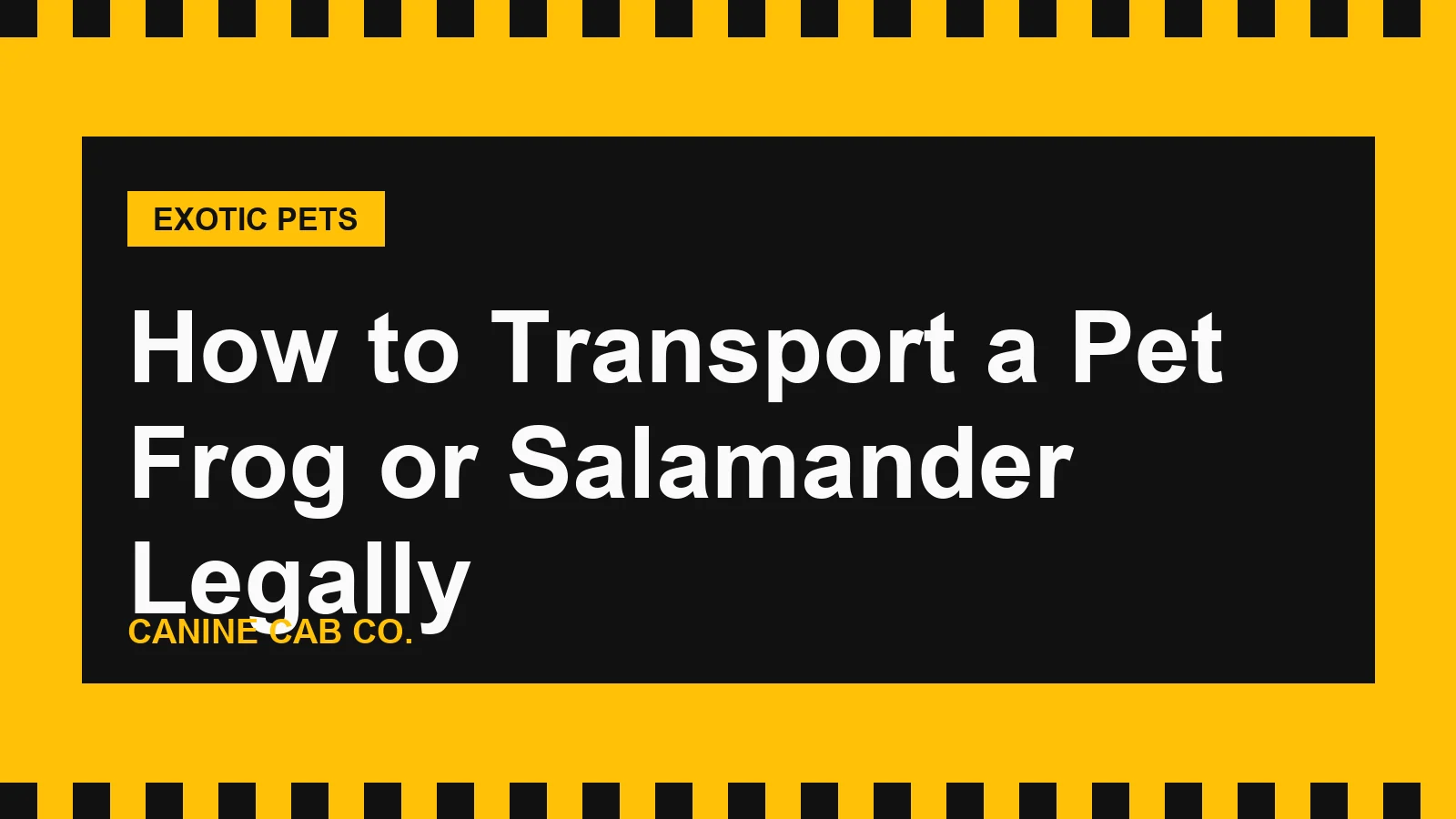 How to Transport a Pet Frog or Salamander Legally