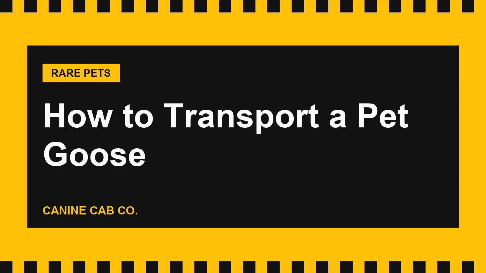 How to Transport a Pet Goose