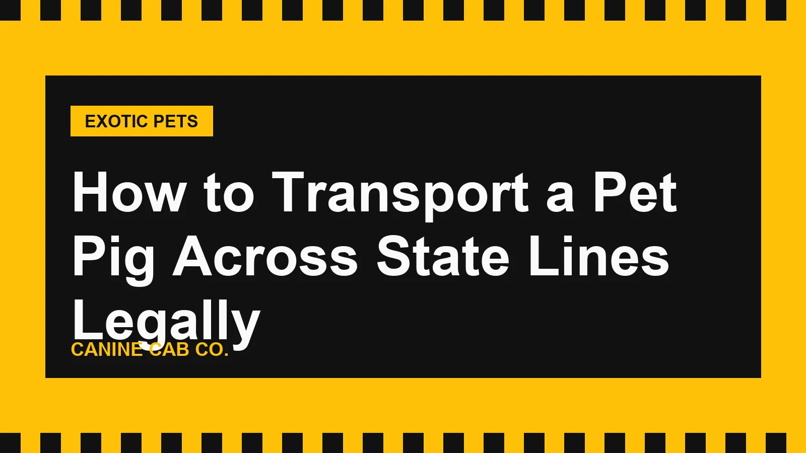 How to Transport a Pet Pig Across State Lines Legally