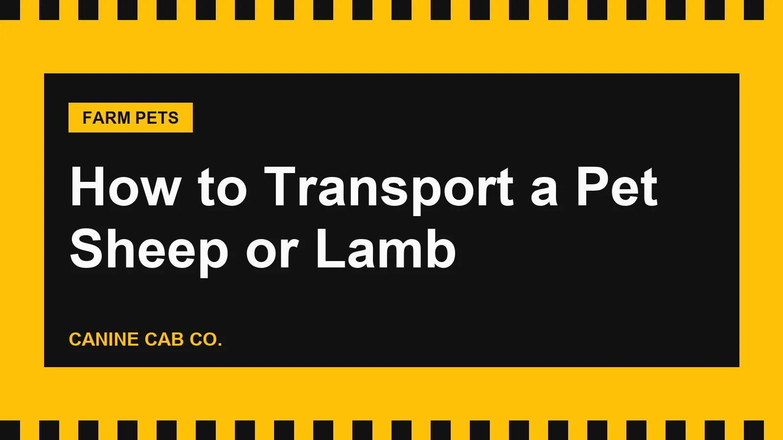 How to Transport a Pet Sheep or Lamb