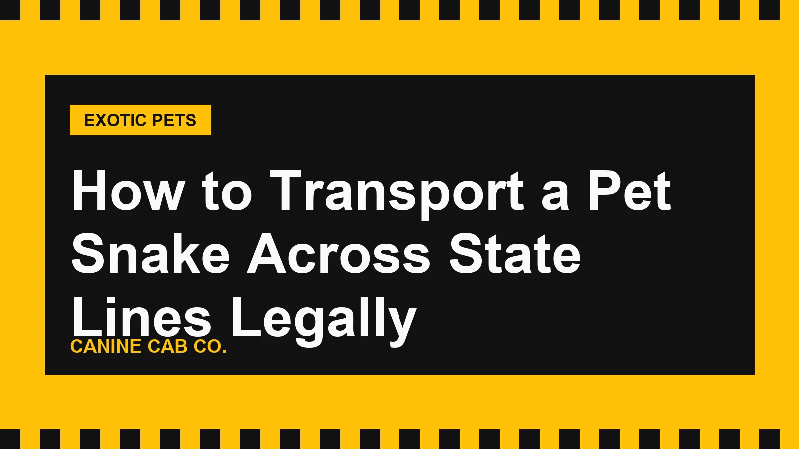 How to Transport a Pet Snake Across State Lines Legally