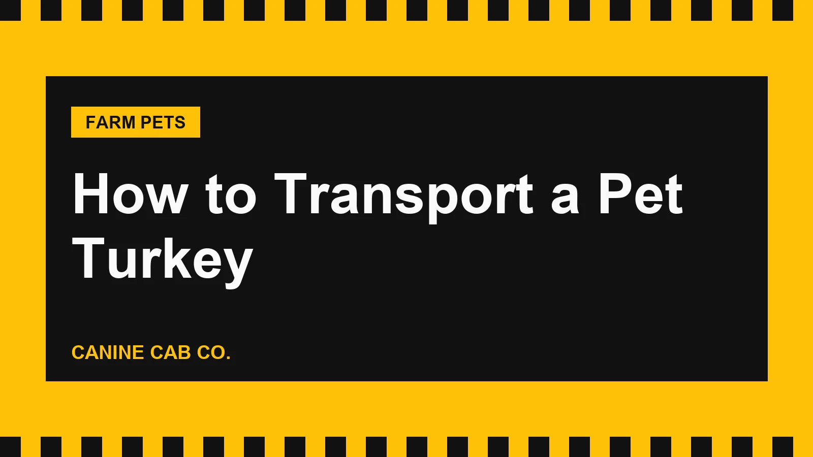 How to Transport a Pet Turkey