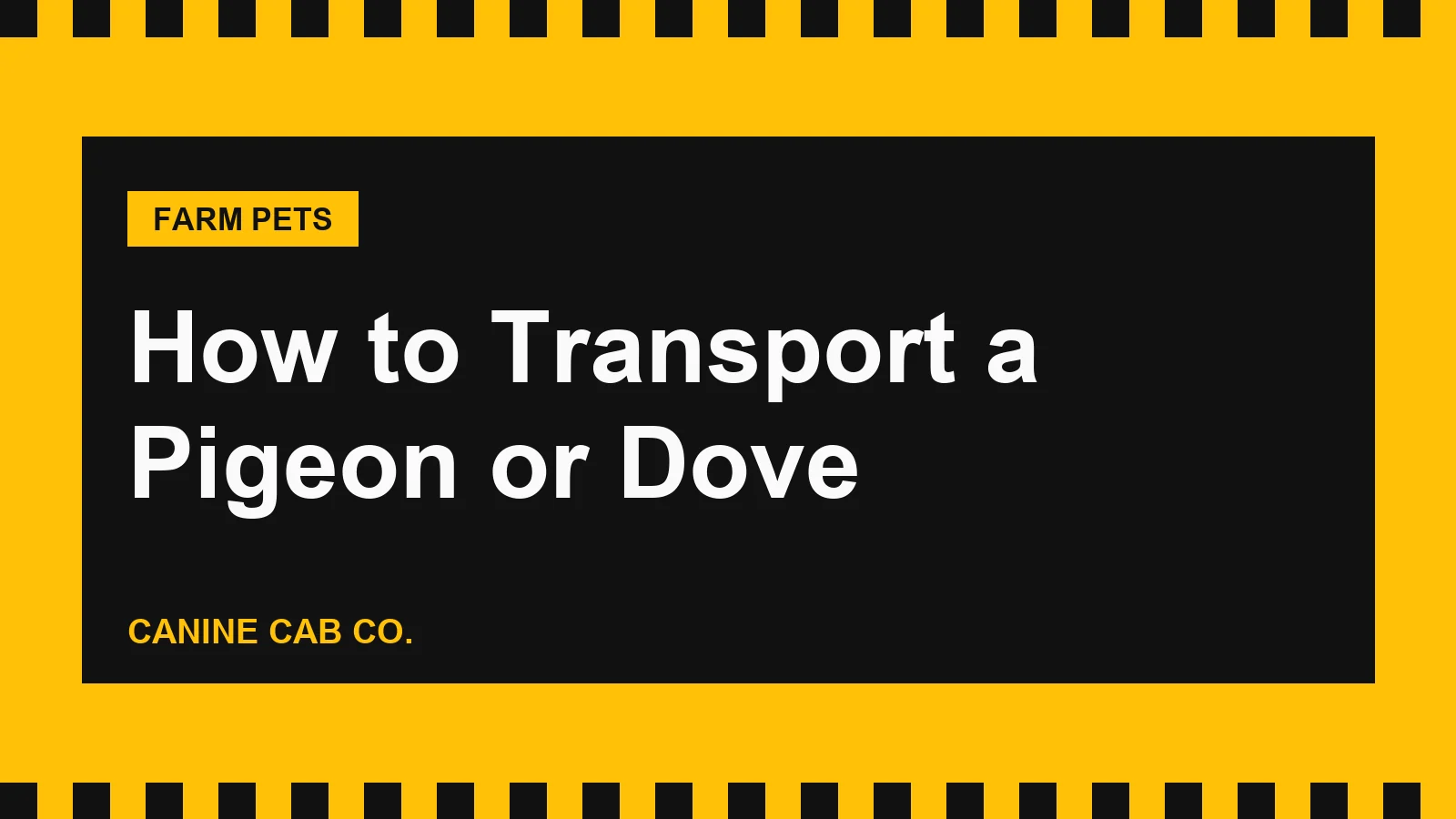 How to Transport a Pigeon or Dove