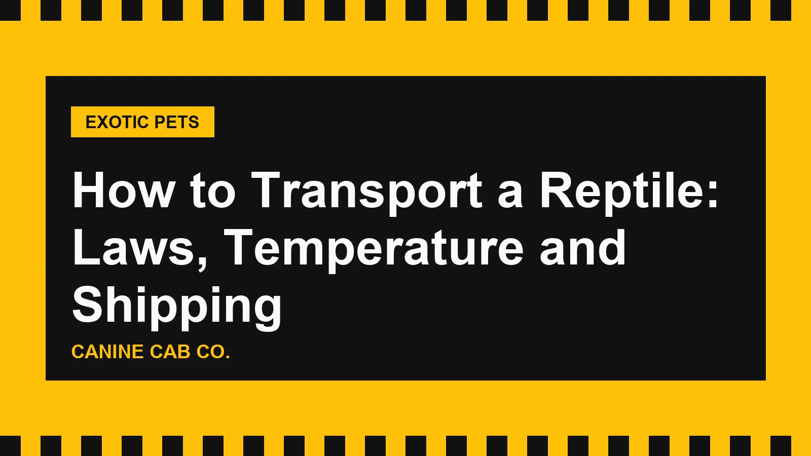 How to Transport a Reptile: Laws, Temperature and Shipping