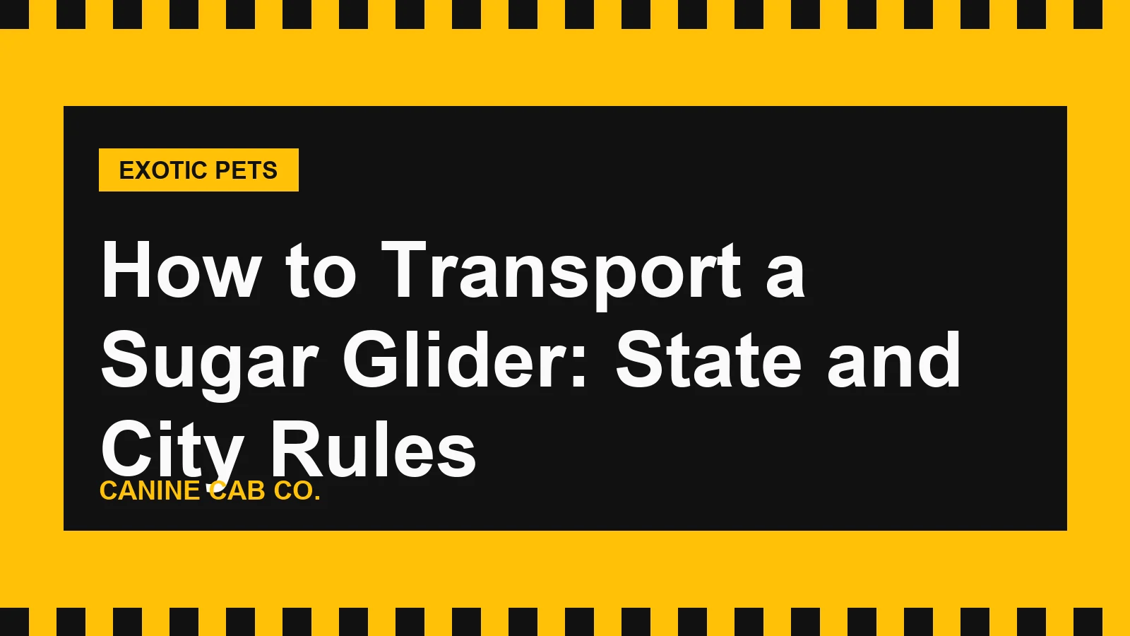 How to Transport a Sugar Glider: State and City Rules