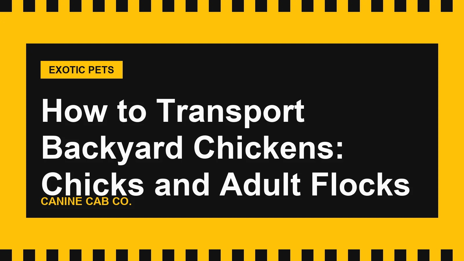 How to Transport Backyard Chickens: Chicks and Adult Flocks