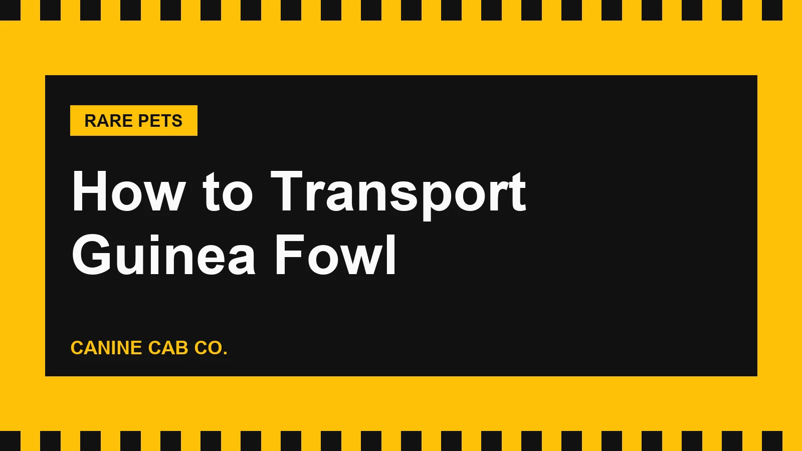 How to Transport Guinea Fowl