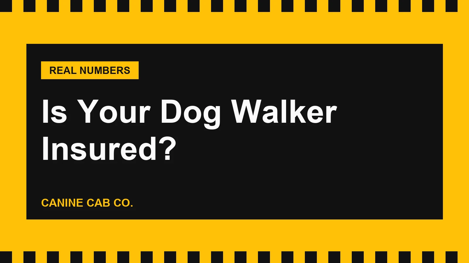 Is Your Dog Walker Insured? What to Actually Check