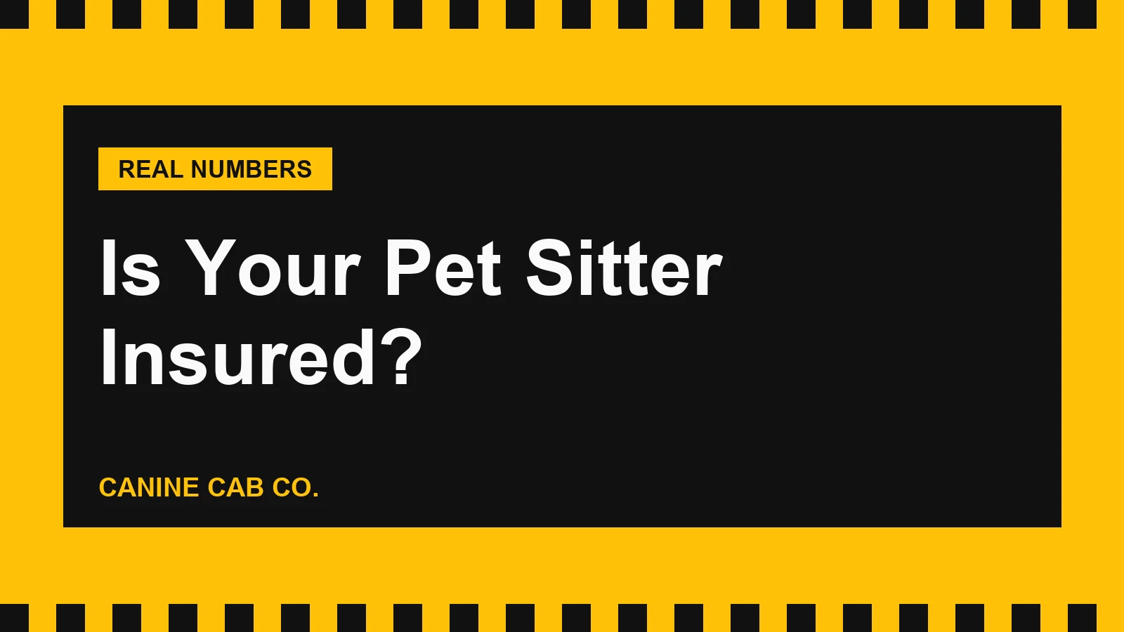 Is Your Pet Sitter Insured? What to Actually Check
