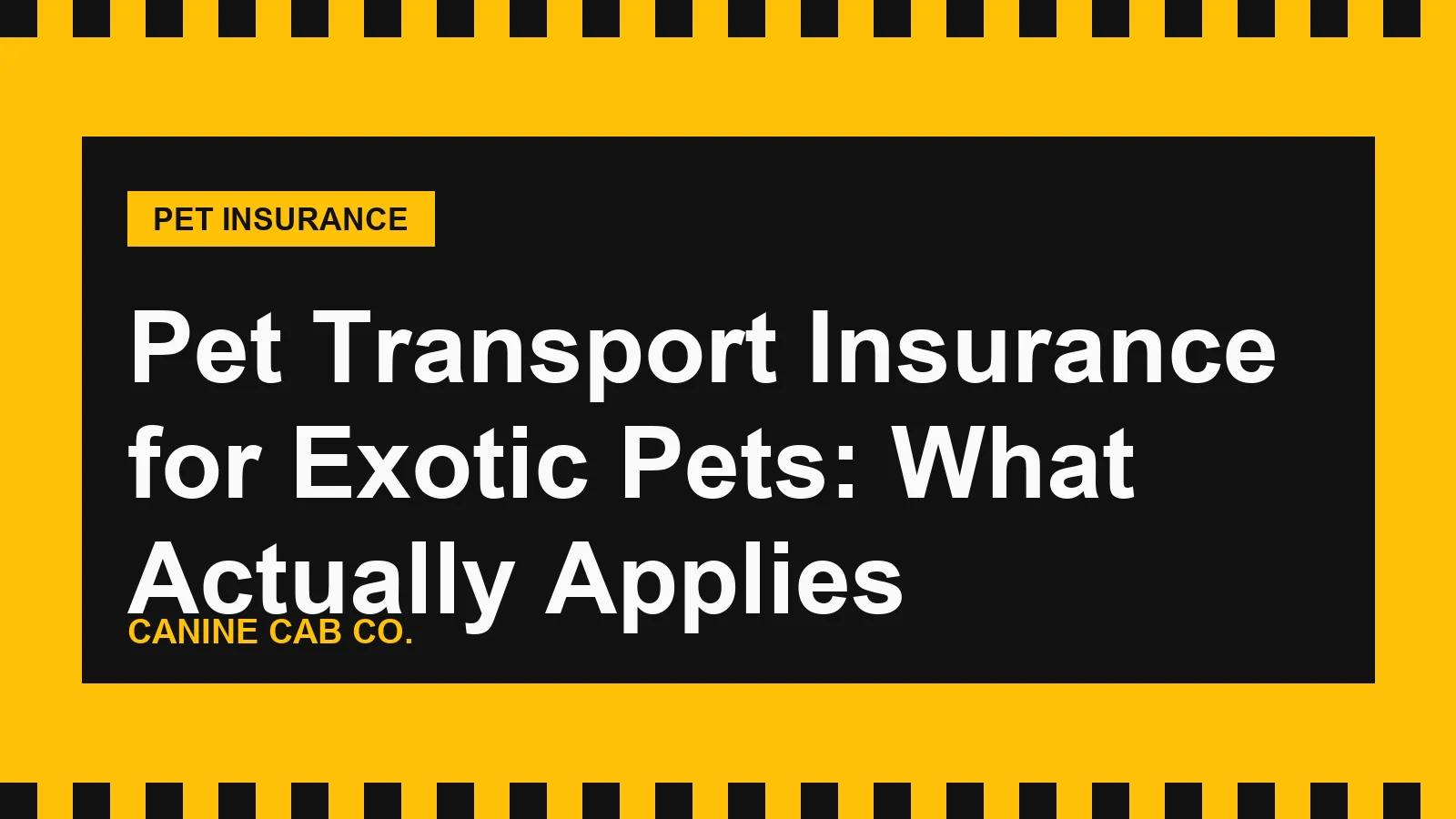 Pet Transport Insurance for Exotic Pets: What Actually Applies