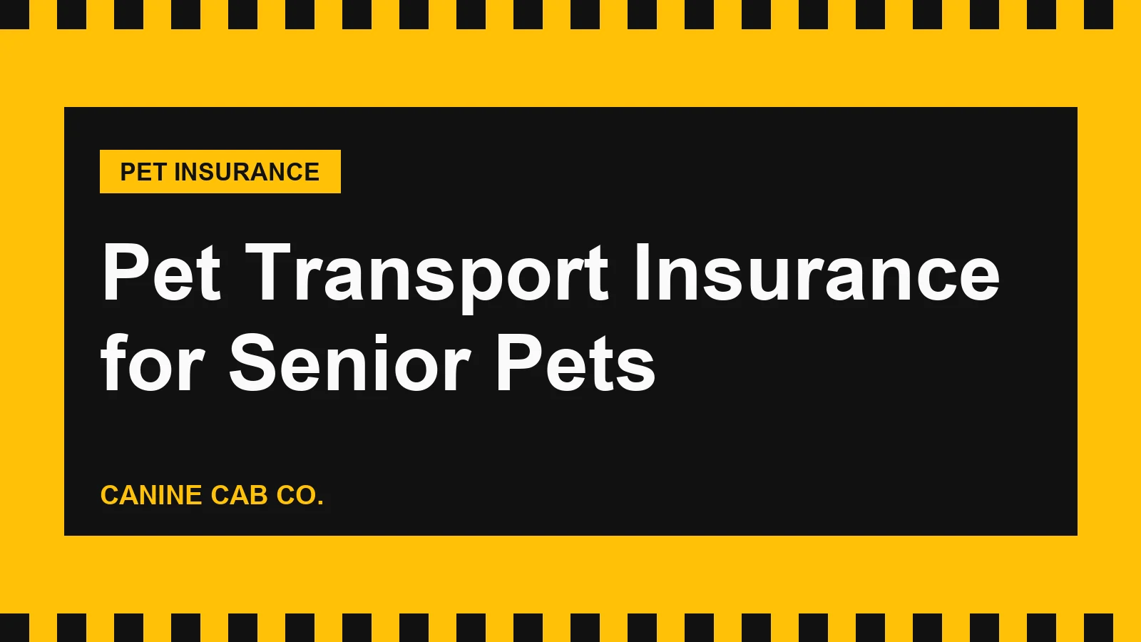 Pet Transport Insurance for Senior Pets