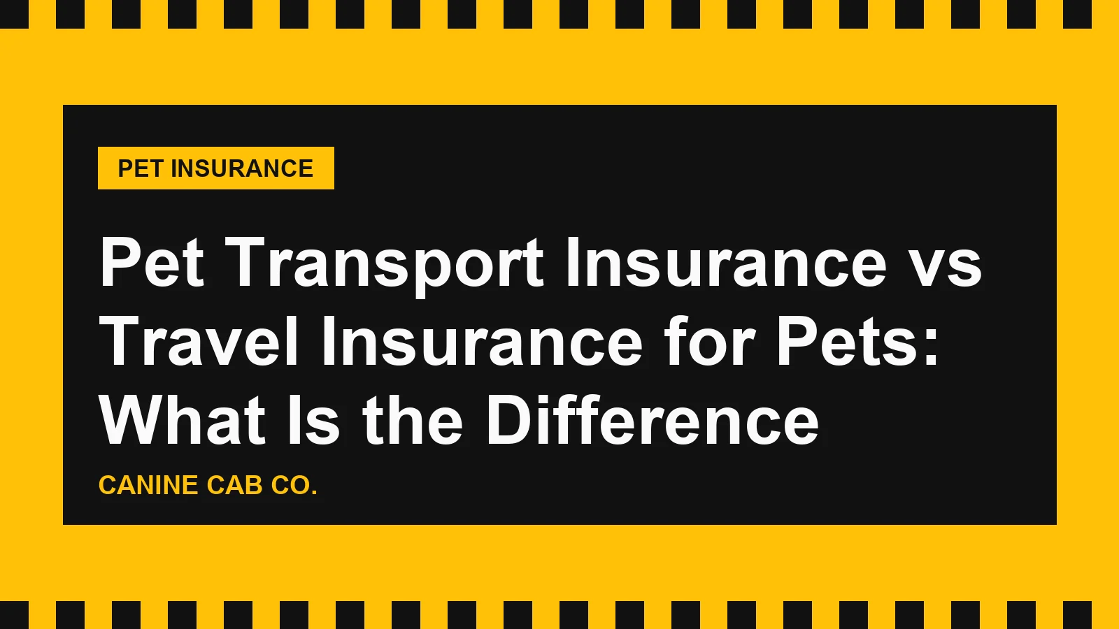 Pet Transport Insurance vs Travel Insurance for Pets: What Is the Difference