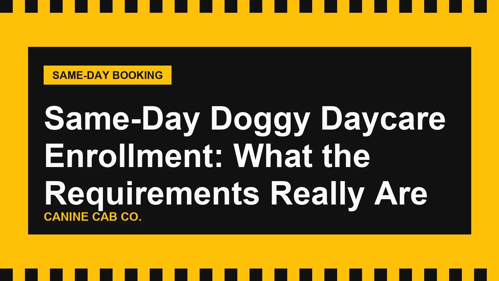 Same-Day Doggy Daycare Enrollment: What the Requirements Really Are