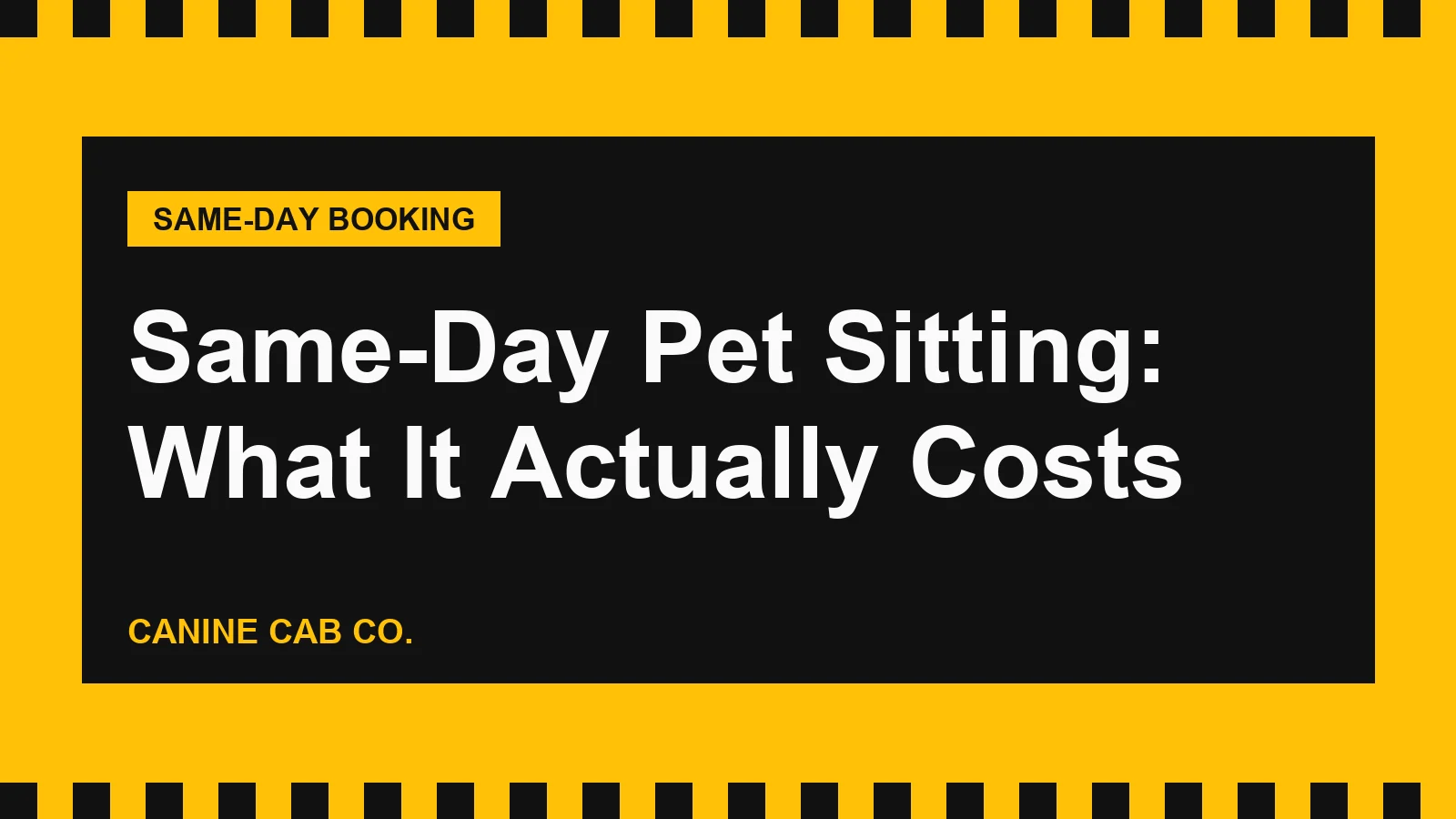 Same-Day Pet Sitting: What It Actually Costs